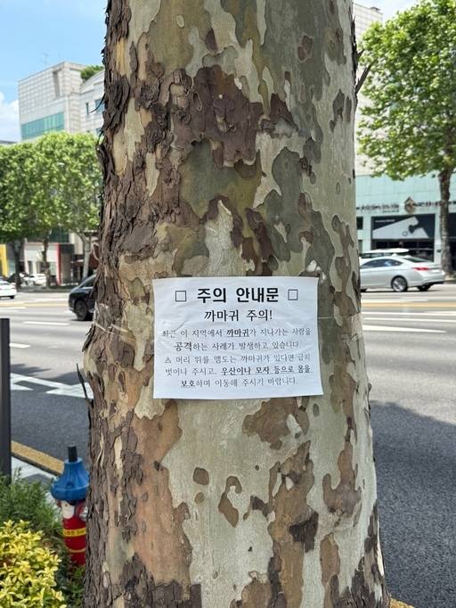 서울 서초구 서초동의 한 나무에 ‘까마귀를 주의하라’는 안내문이 붙어 있다. 독자 제공