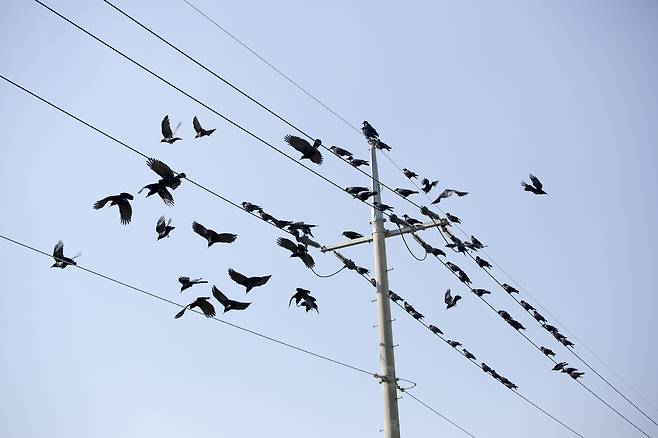 사진= 게티이미지뱅크