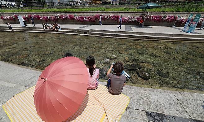 커다란 우산과 돗자리를 가지고 나온 가족들.
