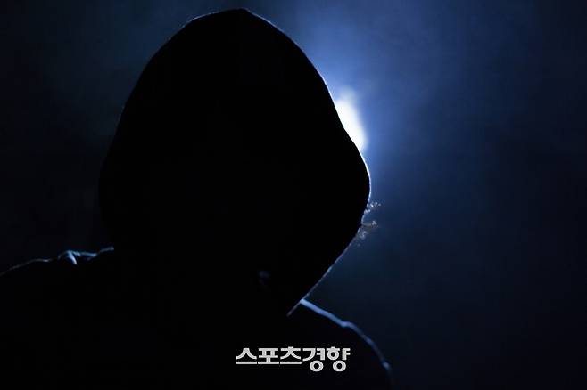 늘고 있는 사이버렉카 범죄. 경향신문 자료사진