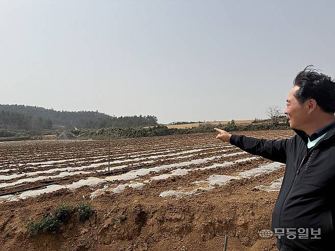 임태정 해남들영농조합법인대표가 25일 전남 해남 산일면에 위치한 자신의 배추밭을 설명하고 있다. 이날 방문한 배추밭에서는 봄배추 재배가 한창이었다.김혜진기자 hj@mdilbo.com