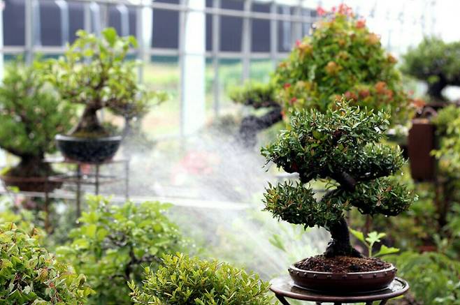 비·소나기·폭염 오락가락...후텁지근한 날씨 낮 최고 36도[오늘날씨]=일요일인 오늘(29일) 날씨는 중부지방은 대체로 흐리겠고, 남부지방과 제주도는 가끔 구름 많겠다. 아침 최저기온은 22~25도, 낮 최고기온은 27~36도가 되겠다. 새벽부터 오전 사이 수도권과 강원도, 충청권중.북부에 비가 내리는 곳이 있겠다. 오늘날씨, 내일날씨, 주간날씨 예보 ⓒbnt뉴스