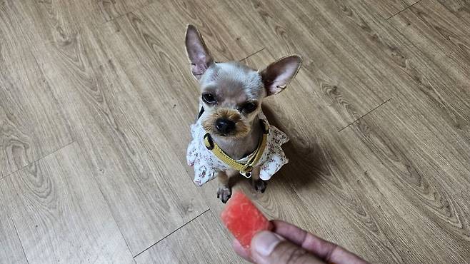 20250628_120110.jpg 아들 야구팀 가족들과 멀리 가서 민물매운탕