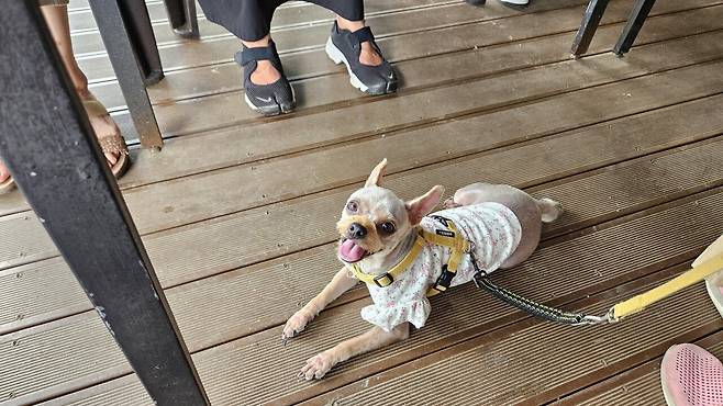 20250628_132433.jpg 아들 야구팀 가족들과 멀리 가서 민물매운탕