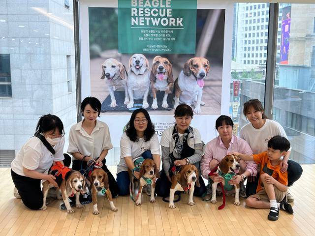 김세현(오른쪽 첫 번째) 비글구조네트워크 대표와 강소영(오른쪽 세 번째) 서울 디지털대 교수, 임시보호자들이 실험에 동원됐다 기증돼 입양을 기다리고 있는 비글들과 기념 촬영을 하고 있다. 고은경 기자