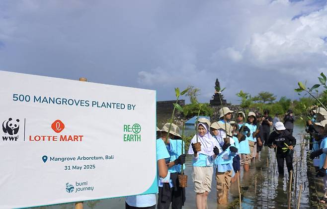 인도네시아 발리에 위치한 맹그로브 에버리텀 공원에서 맹그로브를 식재하는 현지 초등학생들의 모습