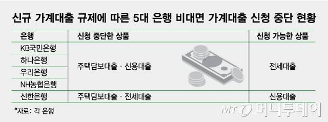 신규 가계대출 규제에 따른 5대 은행 비대면 가계대출 신청 중단 현황/그래픽=최헌정