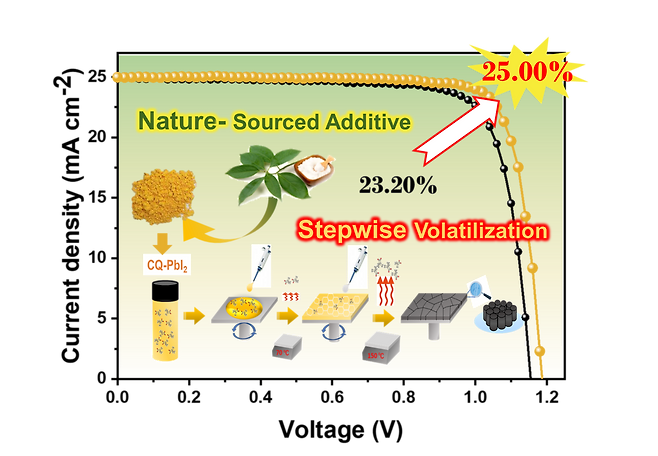 자연 유래 고체 첨가제인 캠퍼퀴논의 단계적 승화과정을 통한 페로브스카이트 태양전지 성능 향상. 페로브스카이트 박막의 결정 품질이 향상돼 효율은 약 9% 이상, 수명은 2배 이상 개선됐다. [UNIST 제공]