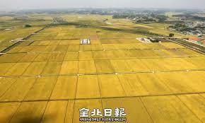 김제 호남평야 전경./사진=전북일보DB.