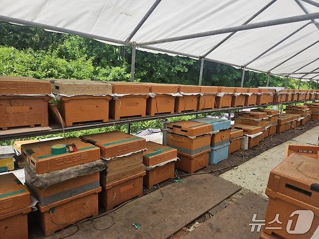 한 양봉 농가가 스마트 벌통을 설치한 모습.(용인시 제공)