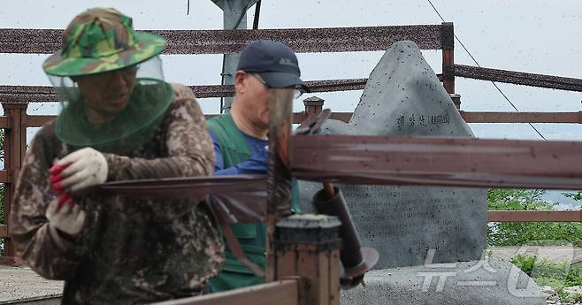 30일 오후 인천 계양구 계양산 정상에 붉은등우단털파리(러브버그) 무리가 대량 출몰한 가운데 계양구청 공원녹지과 산림보호팀 관계자들이 방역 및 날벌레 트랩을 설치하고 있다. 2025.6.30/뉴스1 ⓒ News1 김진환 기자