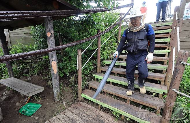 30일 오후 인천 계양구 계양산 정상에 붉은등우단털파리(러브버그) 무리가 대량 출몰한 가운데 계양구청 공원녹지과 산림보호팀 관계자들이 방역 작업을 하고 있다. 2025.6.30/뉴스1 ⓒ News1 김진환 기자