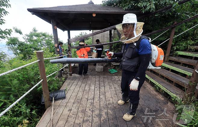30일 오후 인천 계양구 계양산 정상에 붉은등우단털파리(러브버그) 무리가 대량 출몰한 가운데 계양구청 공원녹지과 산림보호팀 관계자들이 방역 작업을 하고 있다. 2025.6.30/뉴스1 ⓒ News1 김진환 기자