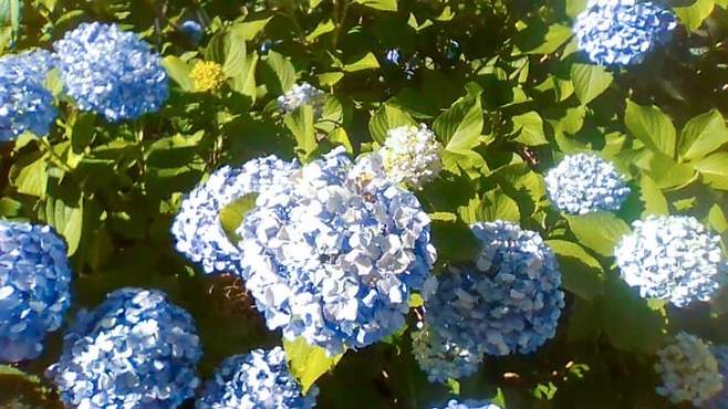 1a94fe19b7826af33ee985e529807202797e367d6c6010050f812eaa794be91e4f8d760dc3084853df