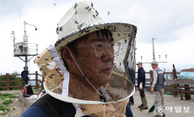 30일 오후 인천 계양구 계양산 정상에 붉은등우단털파리(러브버그) 무리가 대량 출몰한 가운데 방역에 나선 계양구청 공원녹지과 산림보호팀 관계자가 쓴 보호 마스크에 벌레가 달라붙어 있다. 인천=홍진환 기자 jean@donga.com