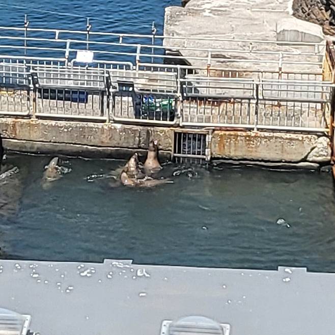 20250619_100944.jpg 홋카이도 7박 8일 골든 카무이 여행기 -4-