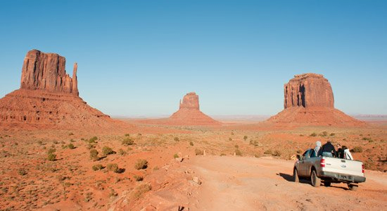 image (3).png 러브버그 방제를 막은 환경단체의 우리나라 태양광 산업 의견