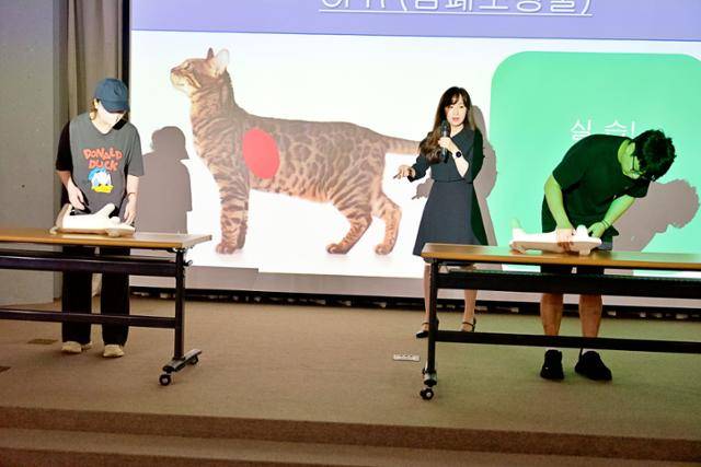 고양이 부문 출제위원이자 모의고사 강연자로 나선 김효진 24시 센트럴동물메디컬센터 원장(가운데)이 응시자들과 함께 강연 도중 고양이 심폐소생술 실습을 진행하고 있다.