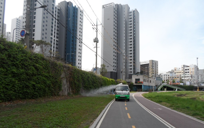 경기 광명시가 러브버그 개체수를 줄이기 위한 방역을 진행하고 있다. 광명시 제공