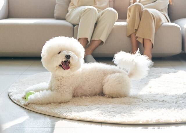 게티이미지뱅크