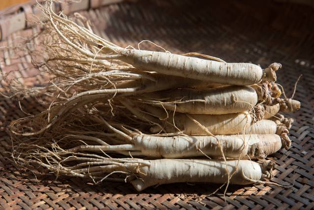 게티이미지뱅크