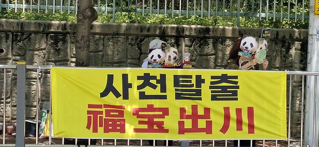 푸바오의 사천성(스촨성) 판다기지 탈출을 촉구하는 팬들의 시위