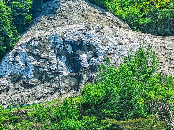 자연석에 핀 매화. 자연석만으로도 아름다운데 굳이 저렇게 해야 했을까.