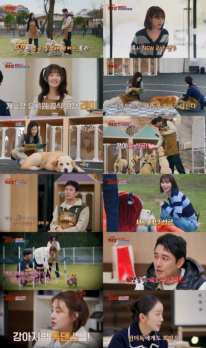 JTBC ‘집 나가면 개호강’