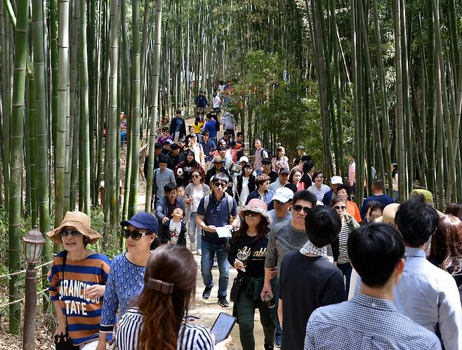 담양군 죽녹원 관광객 [담양군 제공. 재판매 및 DB 금지]