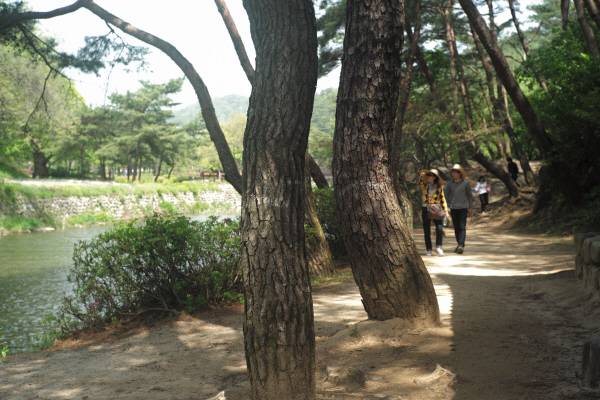 죽계천을 따라 이어진 명품 둘레길