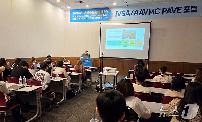 6월 29일 열린 부산수의컨퍼런스에서 IVSA 세션 강의가 열리고 있다. ⓒ 뉴스1