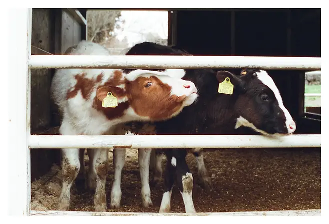 7c9c8375b3f66cff23ee81e6309c706f90bad53926da6103bc642a88abd9f1760e0ed8b372d84f93bab4ec69b8c7286c2851031c8519