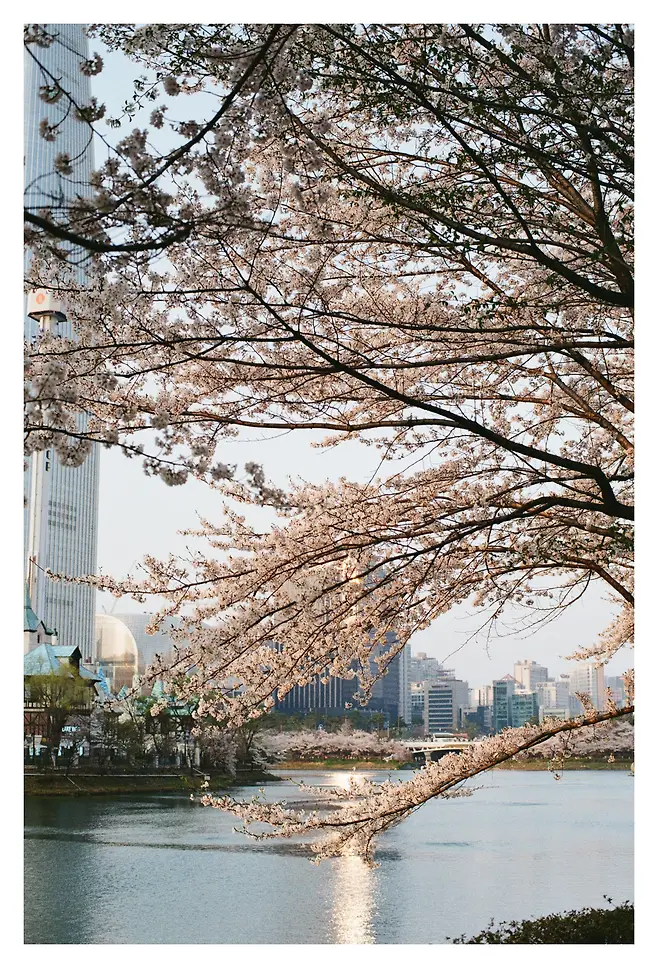 7bed8775b38061f223e9f796329c701b5374adedff470b4187a04c3c35fa0a8cb2da2b23670bf2da74c5ad507577d35f5a5cdb79c13e