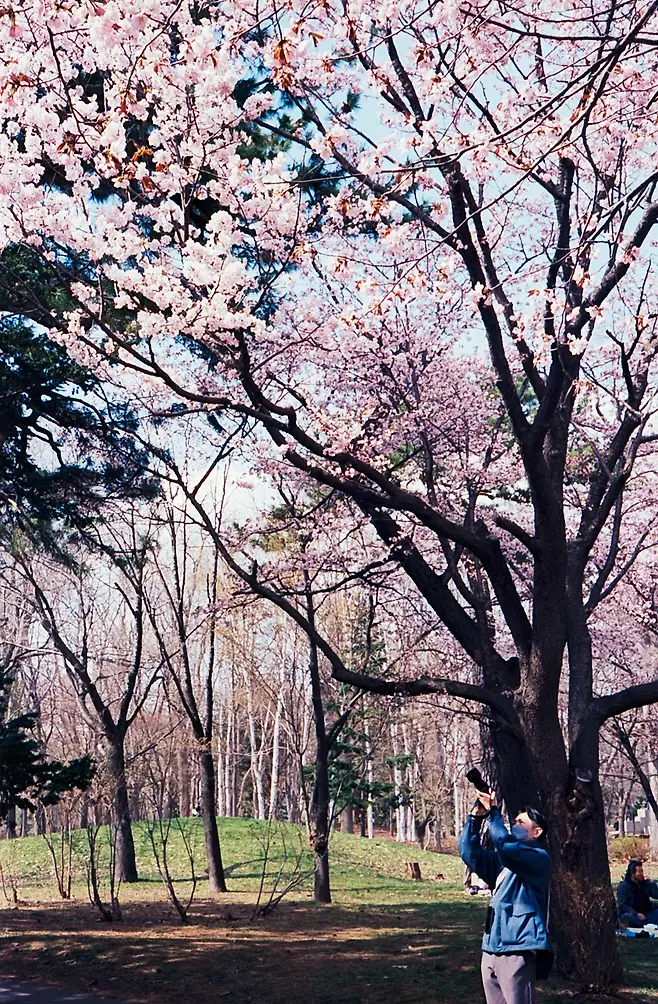 3ebed128da8b76b16bbdc69528d527038dbf94719cd31a