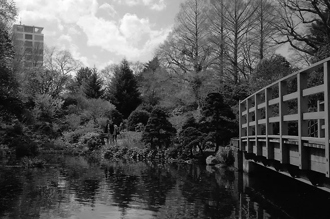 0bb2dd27f5d336f751ec82fb01d4262d19ba0a4593733b983e7f8845