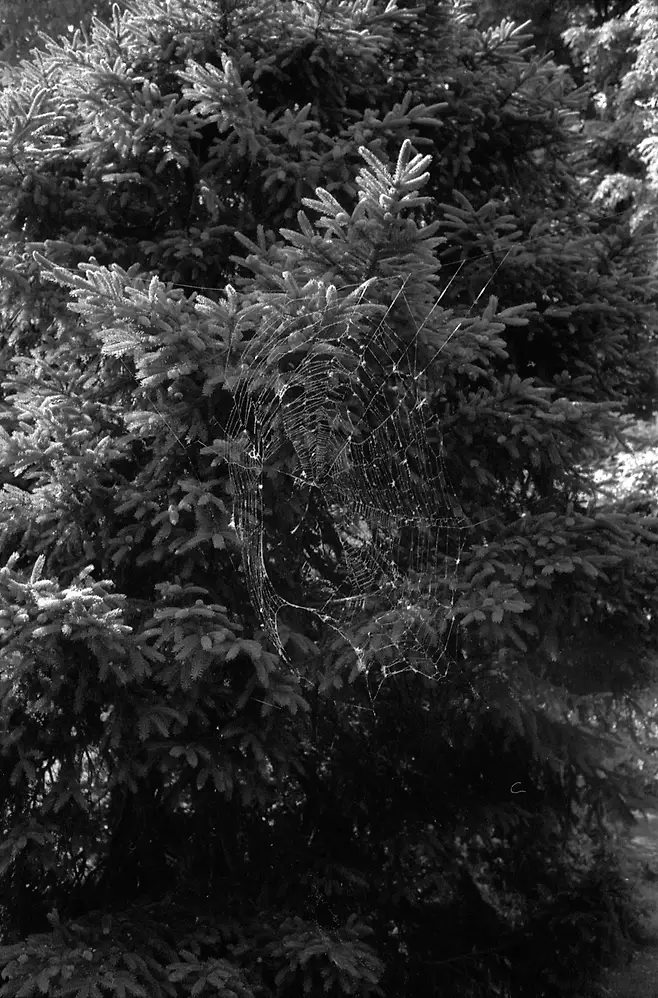 0bb2dd27f5d336f43eefe98d02de286c2bdf1faddebd1ea5b7ed345d28e6e247f6110e9081