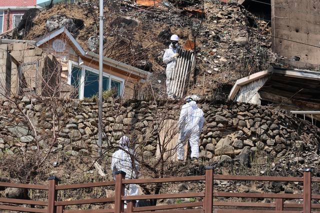 산불 피해를 입은 경북 영덕군 재난폐기물 처리. 사진=연합뉴스