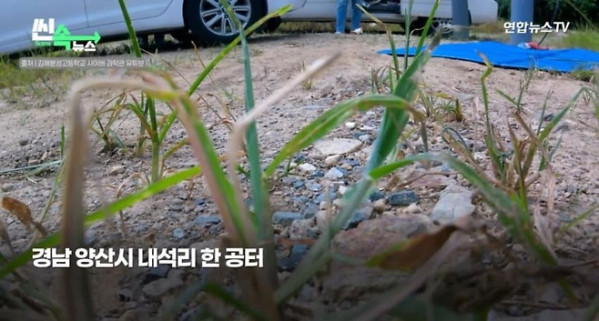 image.png 제대로 사고친 경상남도 고등학생.jpg