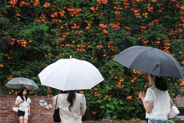 장맛비가 내렸던 지난달 24일 대구 중구 대봉동 한 건물 외벽에 핀 능소화 앞에서 우산을 쓴 시민이 사진을 찍고 있다. 올해 제주 지역은 장마가 예년보다 일주일 정도 빠른 지난달 12일 시작됐고, 중부·남부지방도 평년보다 빠르게 같은 달 19일 시작됐다. 연합뉴스