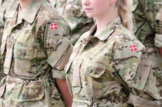 덴마크는 안보 위협에 대비해 국방비를 늘리고 있다. [사진=덴마크 국방부]