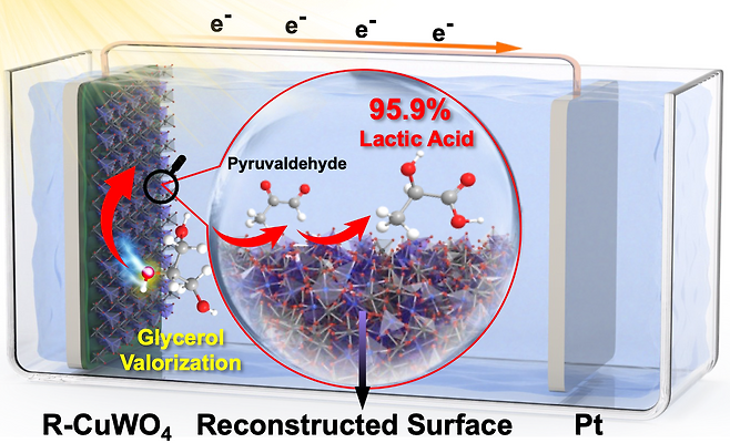 폐자원인 글리세롤의 광전기화학적 전환을 통한 유산 생성.[성균관대학교 제공]