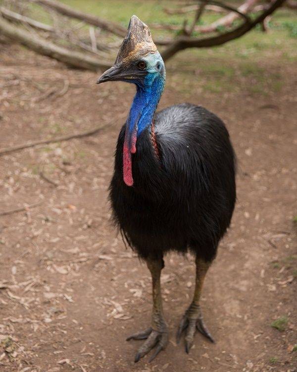 [게티이미지뱅크]