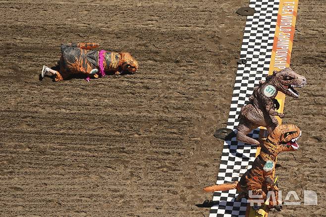 <font style="vertical-align: inherit;"><font style="vertical-align: inherit;"></font></font><font style="vertical-align: inherit;"><font style="vertical-align: inherit;">[오번=AP/뉴시스] 지난달 29일(현지 시간) 미국 워싱턴주 오번의 경마장 에메랄드 다운스에서 열린 '티렉스 세계 챔피언십 레이스' 예선전에서 한 참가자가 결승선을 눈 앞에 두고 넘어져 있다. 2025.07.01.</font></font>