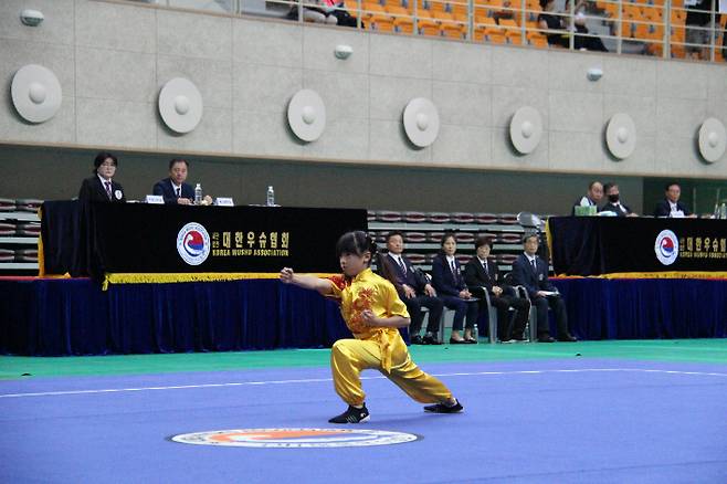 제14회 문화체육관광부장관배 전국생활체육우슈대회 경기 모습. 대한우슈협회
