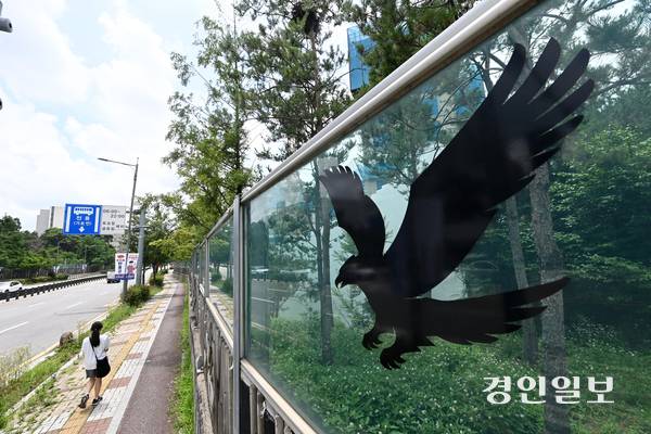 도심 곳곳에 고층 건물과 아파트가 들어서면서 높은 방음벽 설치로 인해 조류가 방음벽에 충돌하는 사고가 증가하고 있다. 2일 오후 용인시내 한 방음벽에 조류 충돌방지 스티커가 부착돼 있다. 2025.7.2 /최은성기자 ces7198@kyeongin.com
