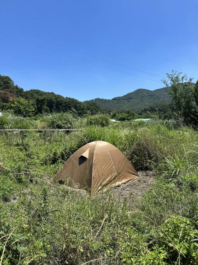 어밍 작가 설치 작품. 김은영 기자