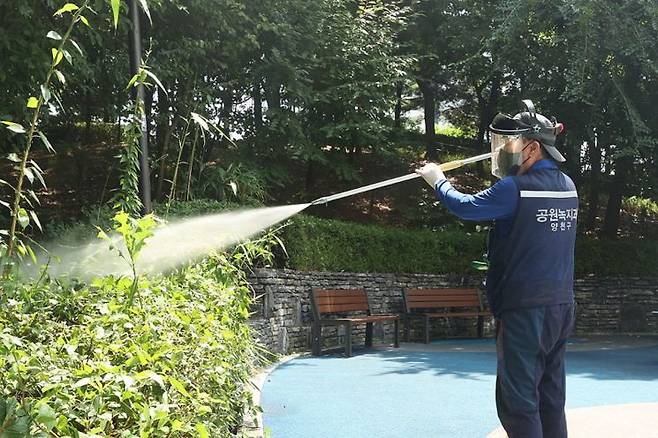 는 '러브버그'를 퇴치하기 위한 집중 방역을 실시하는 모습. 연합뉴스