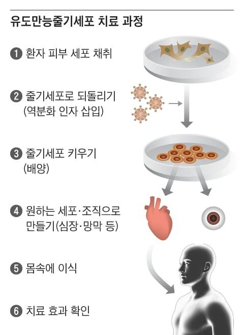 그래픽=양인성
