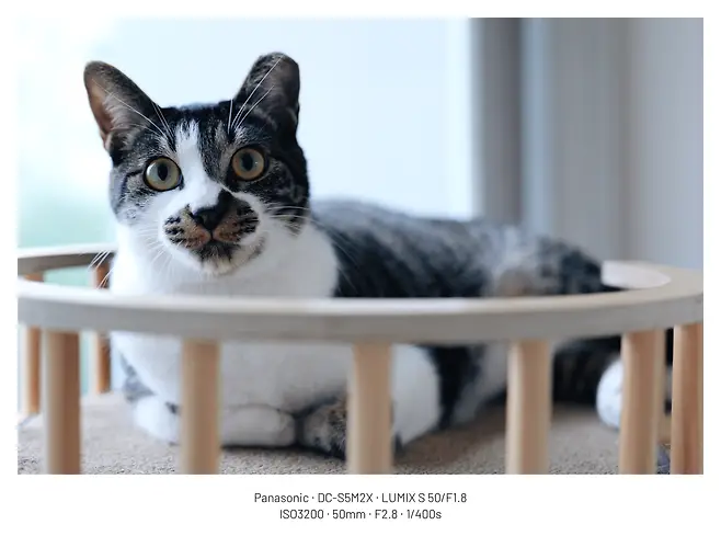 7c98f600c7f41b8423998fe0479c70681187426e8b8a2023d88d307ecec9817633f45dfb90c950346d06a65dcf119c8b5e073c8d114c