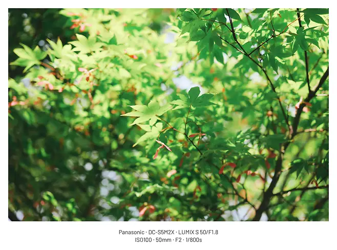 7ce98476c0816cf323eb84e4459c706e30da896545a97a36a6b6c206a3ebf8389e8252912de927b228f860a6a20dbd4910c69a4a7170